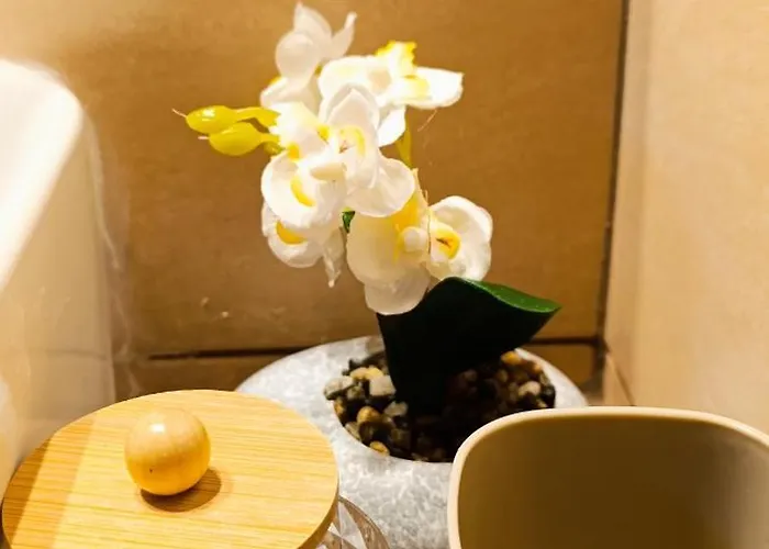 Farma Giannis 公寓 萨尔蒂