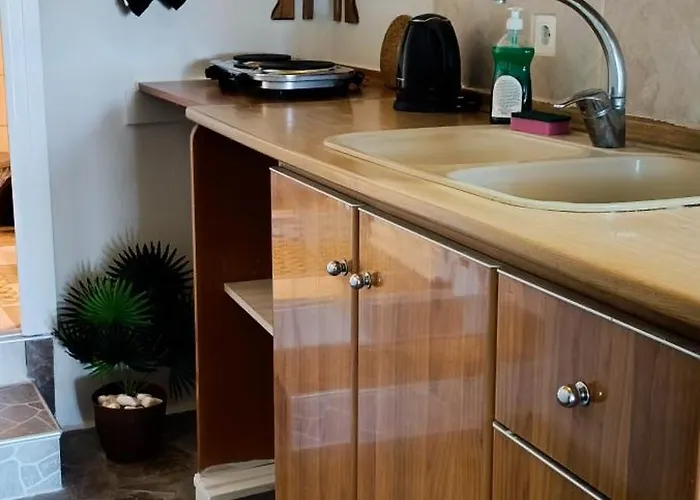 公寓 Farma Giannis 萨尔蒂