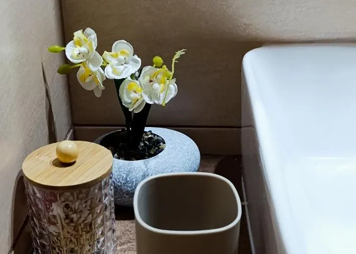 Farma Giannis 公寓 萨尔蒂